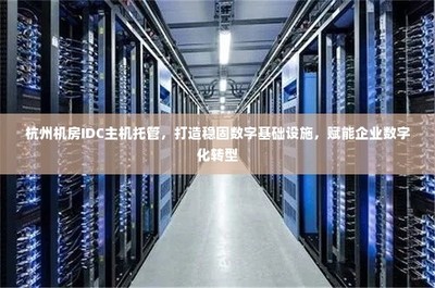 杭州IDC主機托管 構建穩固數字基石，引領企業數字化轉型